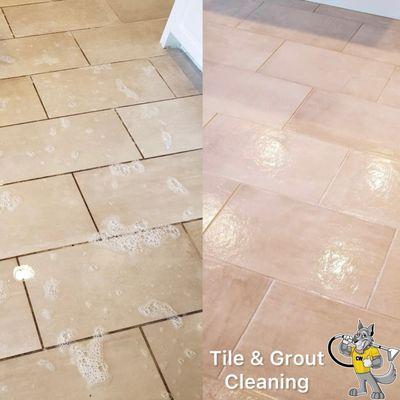 Cleaning Wave Service