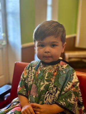 Shaggy Monkey Children's Hair Salon