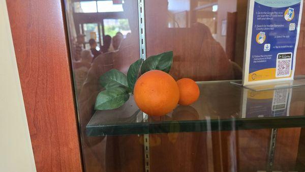 Mentone Senior Center and Library