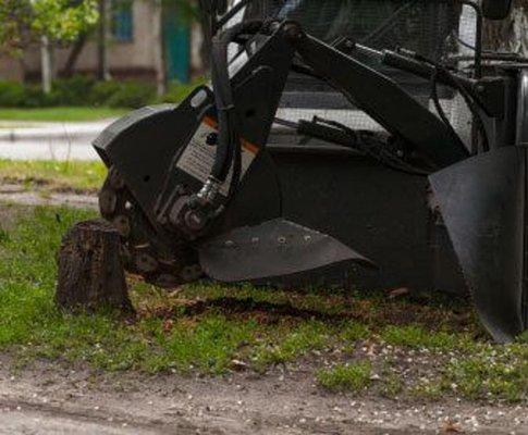 Forret Tree Solutions