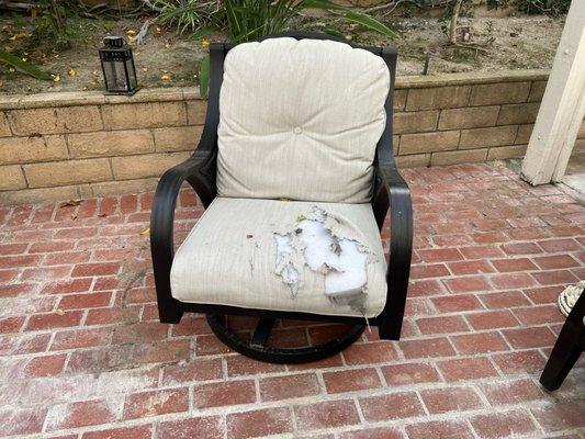 Martinez Fine Upholstery