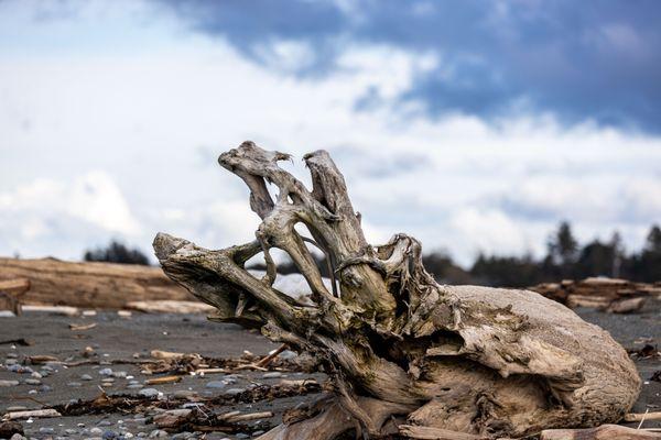 Dungeness Recreation Area