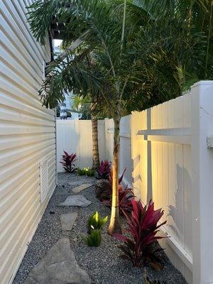 AllPro Tree & Landscaping