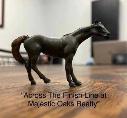 Cristen Brewer - Majestic Oaks Realty