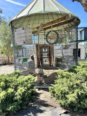 America's Teaching Zoo