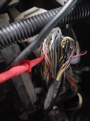 Bronxdale Auto Clinic