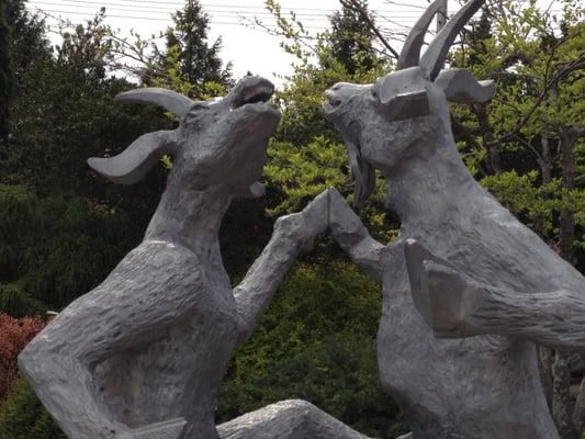 Batdorf and Bronson Garden