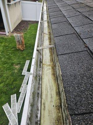 Gutter Done