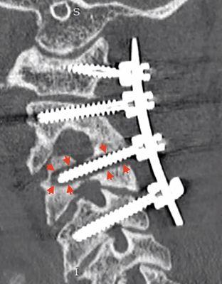 Nelson and Nelson Chiropractic Centers