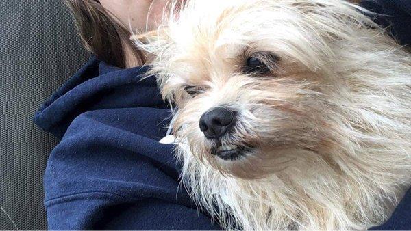 Parkersburg Veterinary Hospital