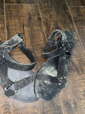 Bell Court Apartments