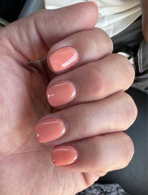 Dip manicure w gel topcoat on natural nails.