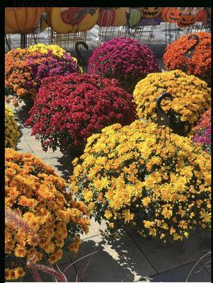 Chapel Hills Farm & Nursery