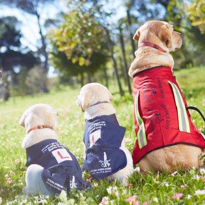 New Leaf Wellness Center