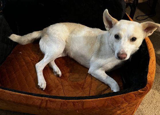 Compassion Without Borders