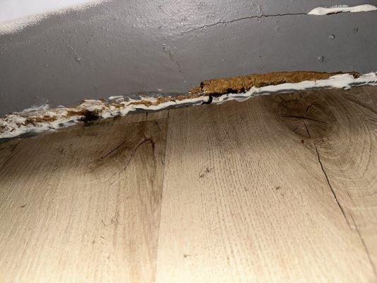 Mia LXMI Westchase East