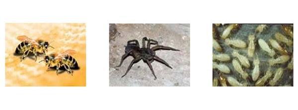 Heartland Pest Control