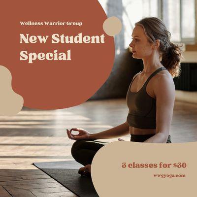 Wellness Warrior Group