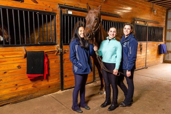 Saddlebred Rescue Inc