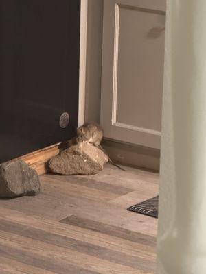 Cypress Property Management