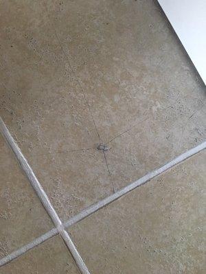 Antarctica Mechanical Services