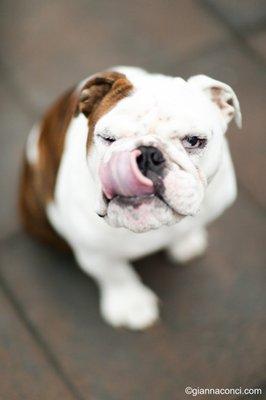 Gianna Conci Photography