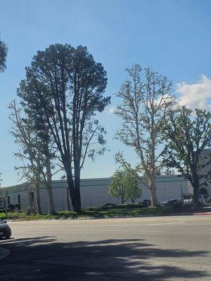 Francisco Garcia Landscaping and Tree Service