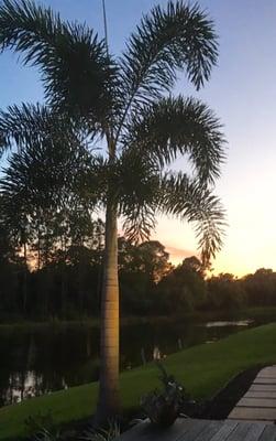 Two Sisters Cleaning