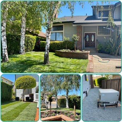 Martin Gonzalez Landscaping