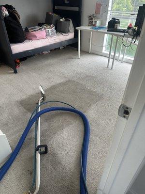Eco Carpet Clean