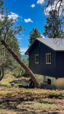 San Juan Timber Fallers