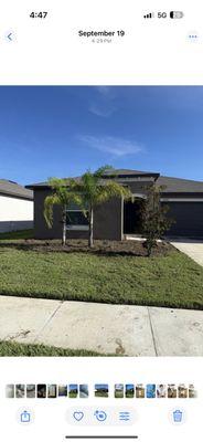 Elegant Curbing & Hardscapes