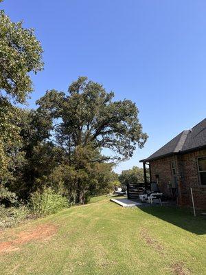 Elevate Tree Service And Landscaping