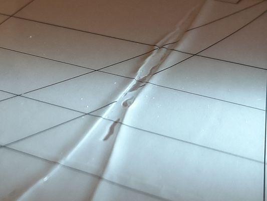 Oregon Laminations Company