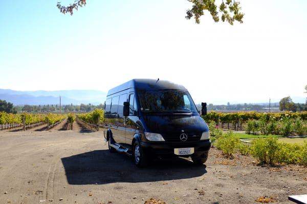Wine Tour Limo Bus