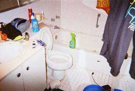 Chestnut Cleaning Services