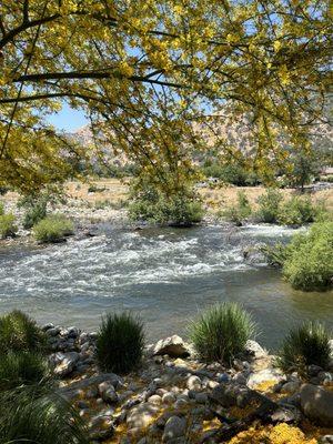 City of Three Rivers