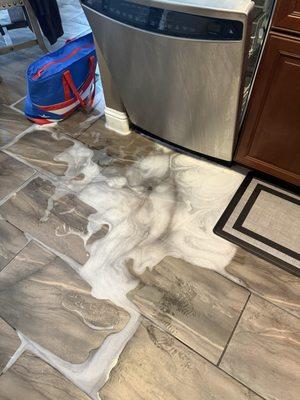 Leo's Appliance Repair