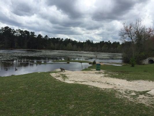 Diamond Lakes Baseball & Softball Facility