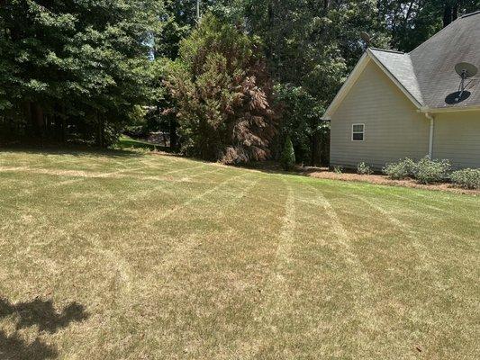 Lavendar Landscaping