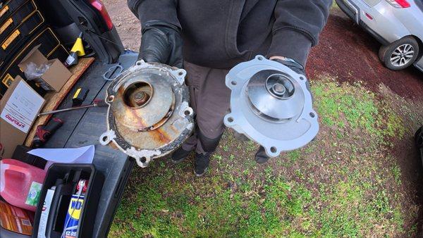 Top Shelf Auto Solutions