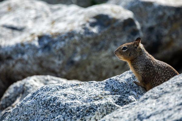 Moss Landing Boat Works