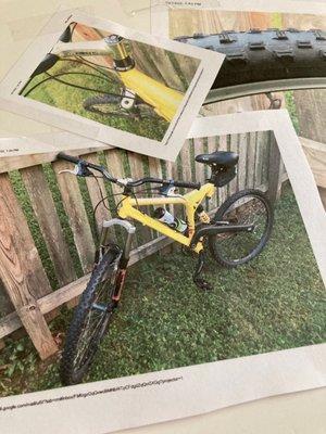 My bike. Consigned, but I was never paid. College Cycles sold the bike, "lost" ticket, and refuses to resolve.