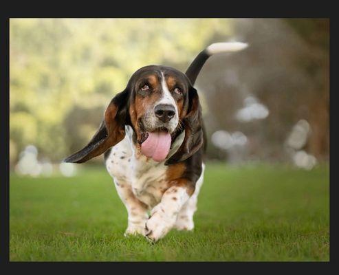 Christian Shenouda Photography