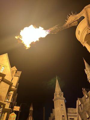 Harry Potter and the Forbidden Journey