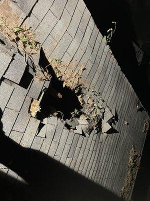 Damage to a roof from a fallen tree.