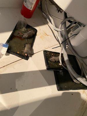 Wimbledon Tennis Club Homeowners Assoc