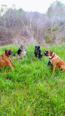 Dr Badley is just the best! He has taken care of all our dogs for the last 15 years! He totally understands that your animals are family!