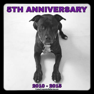 Canine Companion Pet Service, LLC