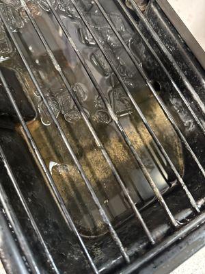 Looks like there's mold in their soda pot machine don't ever hear it's a hazard